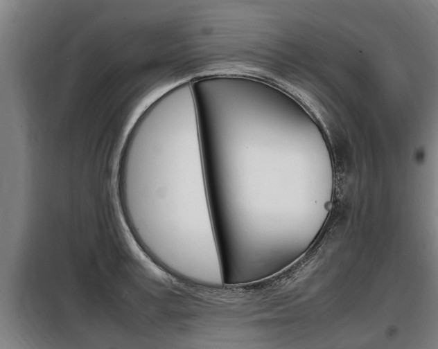 X0000098070995200804040723