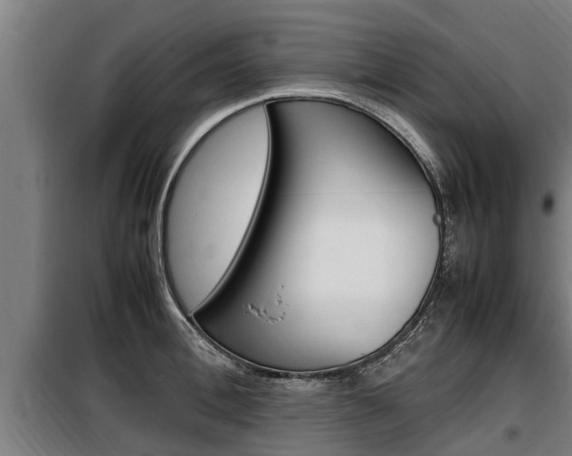 X0000098070996200804040723