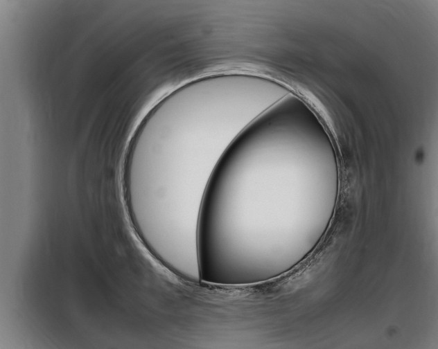 X0000098070997200804040723