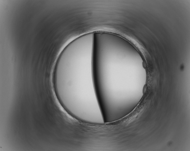 X0000098070999200804040723