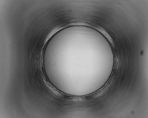 X0000098071002200804040723