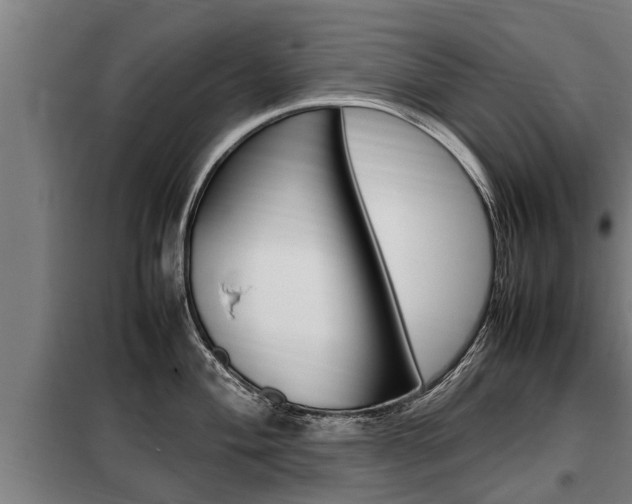 X0000098071004200804040723