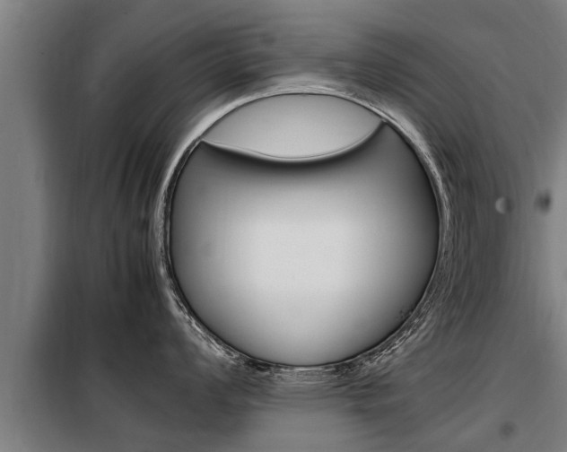 X0000098071008200804040723