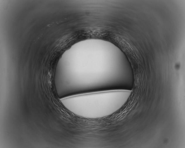 X0000098071010200804040722