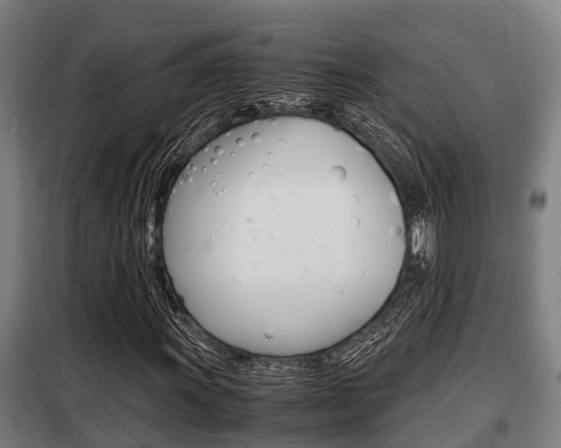 X0000098071011200804040722