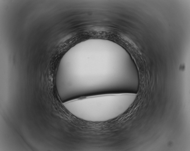 X0000098071013200804040722