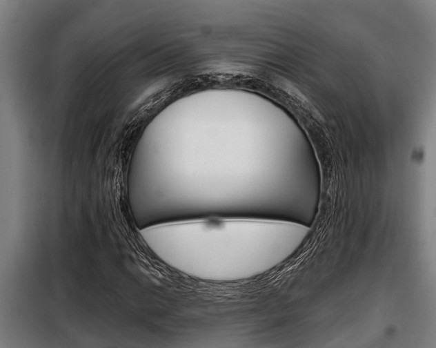X0000098071014200804040722