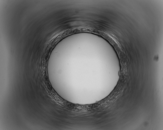 X0000098071015200804040722