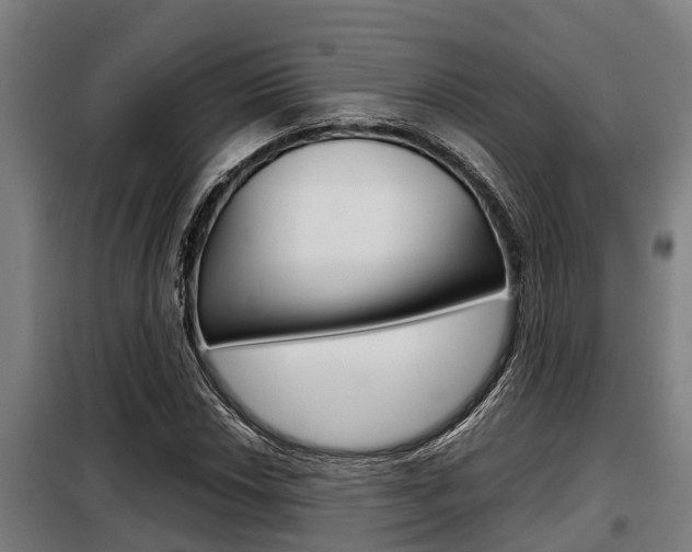 X0000098071018200804040722