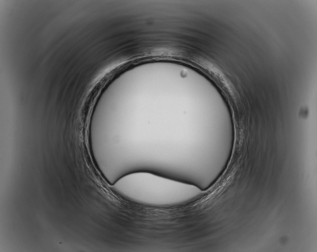 X0000098071019200804040723