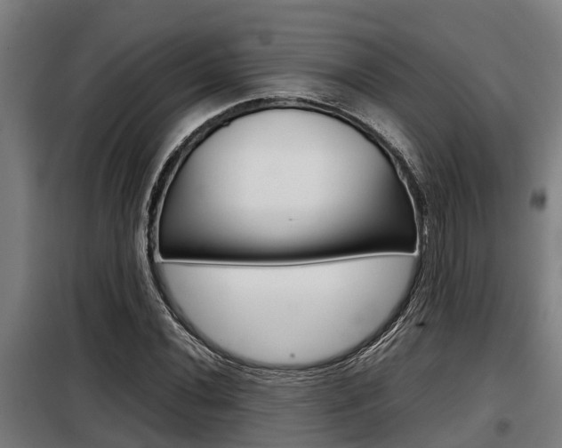 X0000098071020200804040723