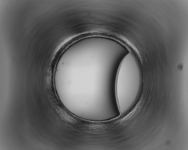 X0000098071021200804040723