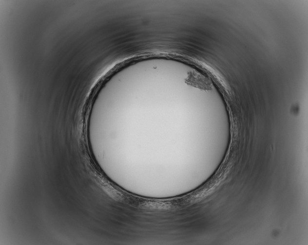 X0000098071023200804040723