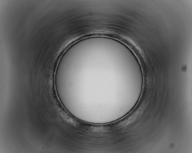 X0000098071025200804040723