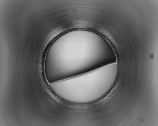 X0000098071026200804040723