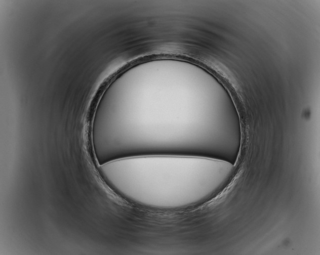 X0000098071029200804040723