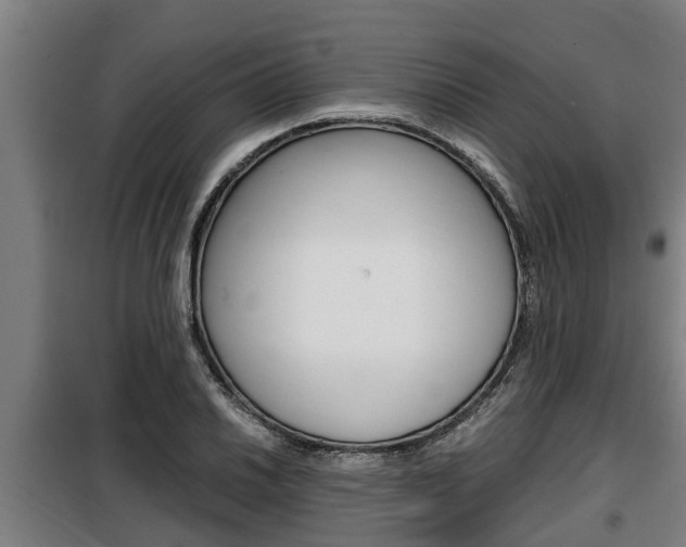 X0000098071030200804040723