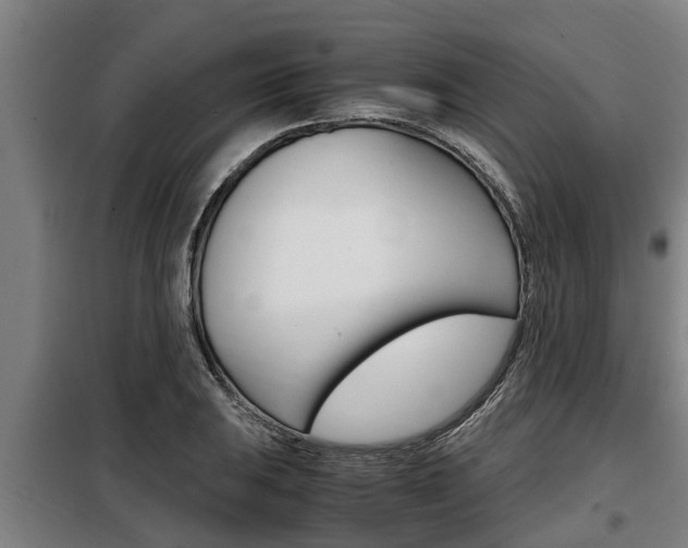 X0000098071031200804040723