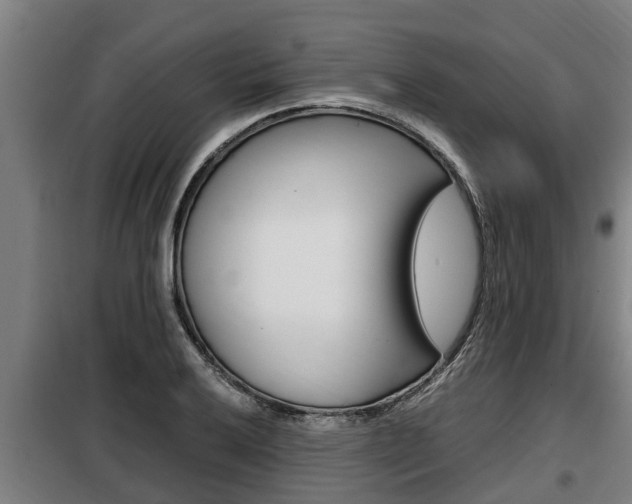 X0000098071032200804040723