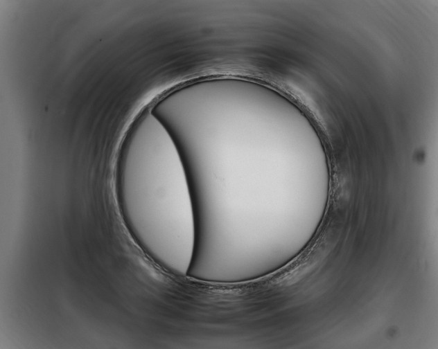 X0000098071035200804040723