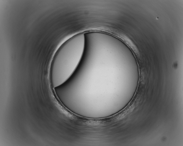 X0000098071036200804040723