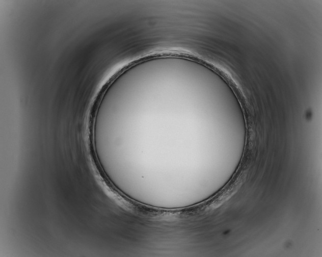 X0000098071038200804040723