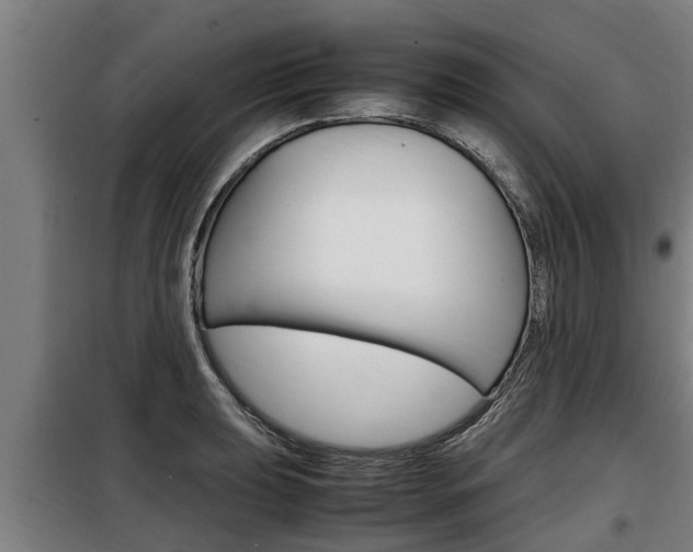X0000098071039200804040723