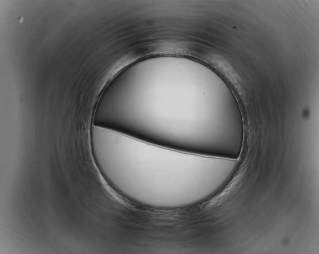 X0000098071041200804040723
