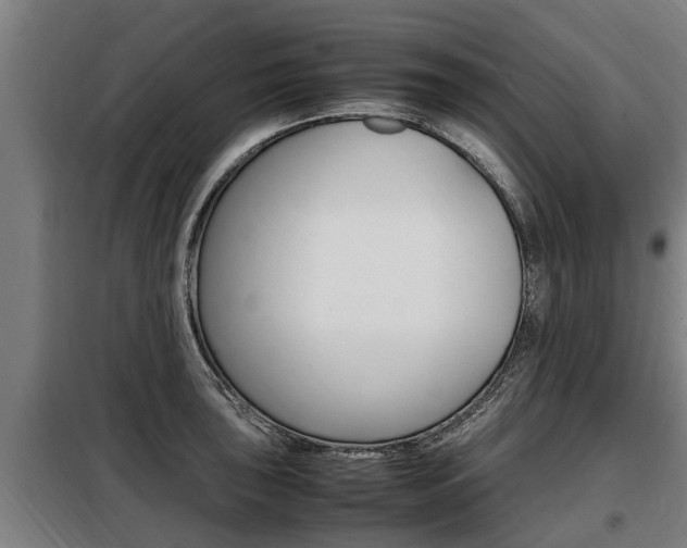 X0000098071043200804040723