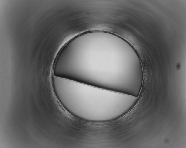 X0000098071044200804040723
