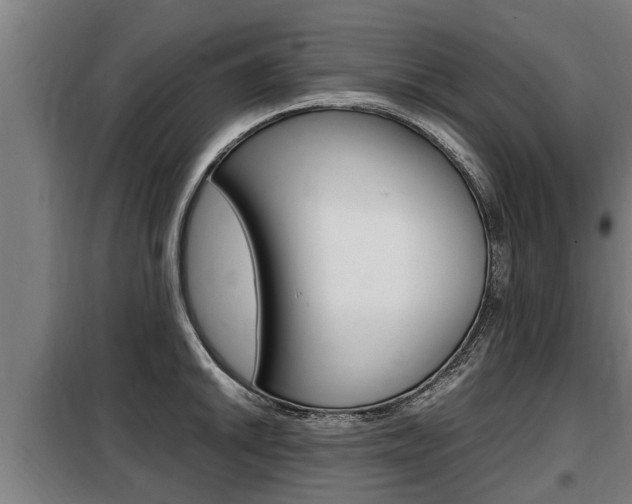 X0000098071046200804040723