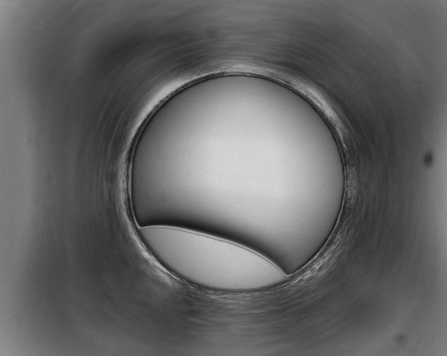X0000098071048200804040723