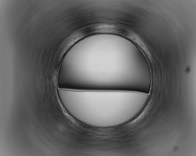 X0000098071049200804040723