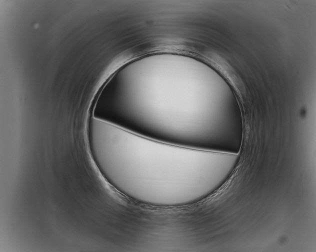 X0000098071050200804040723