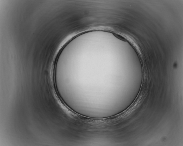 X0000098071054200804040723
