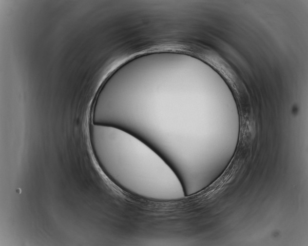 X0000098071055200804040723
