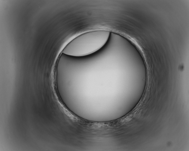 X0000098071056200804040723