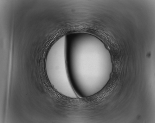X0000098071057200804040722