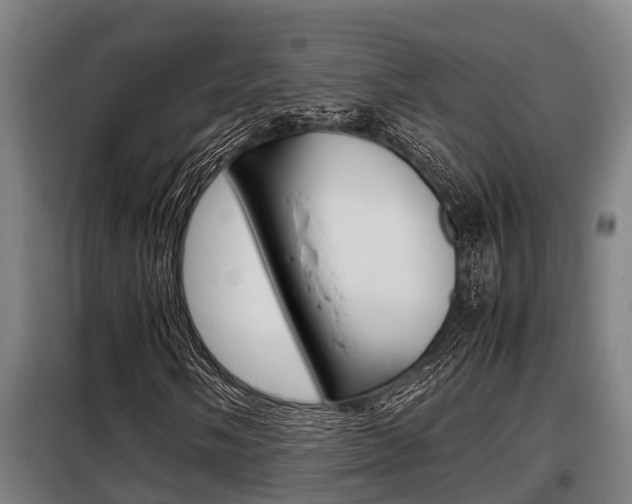 X0000098071058200804040722