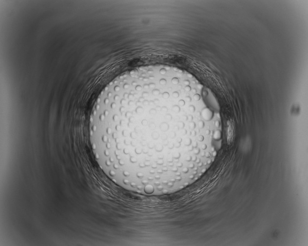 X0000098071059200804040722