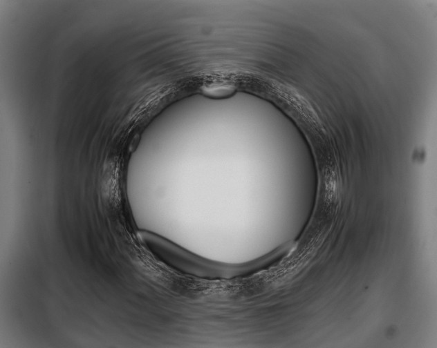 X0000098071060200804040722