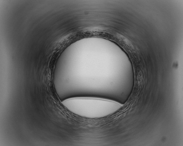 X0000098071062200804040722