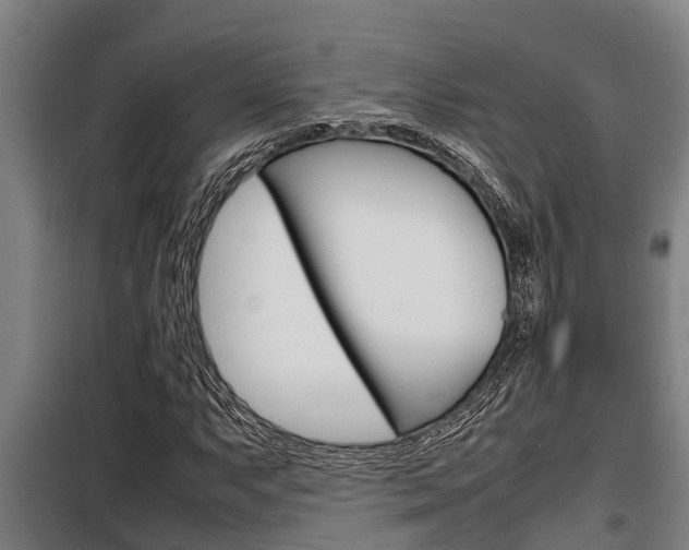X0000098071063200804040722