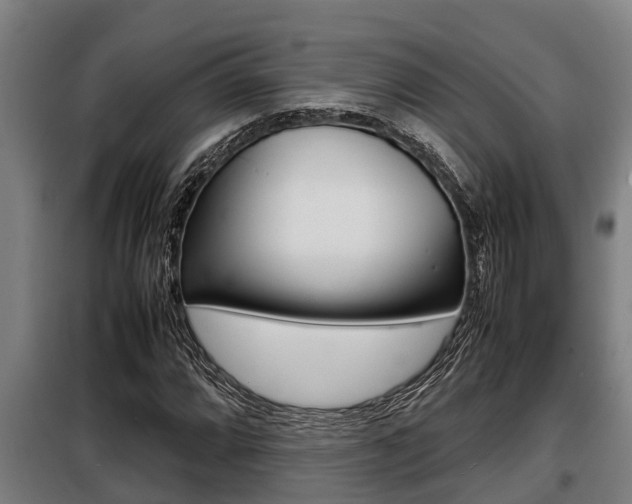 X0000098071064200804040722