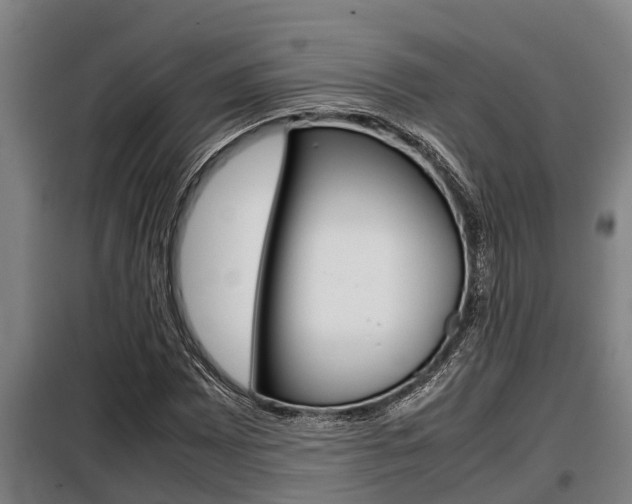 X0000098071065200804040722