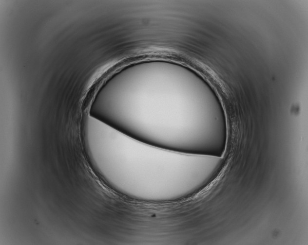X0000098071066200804040722