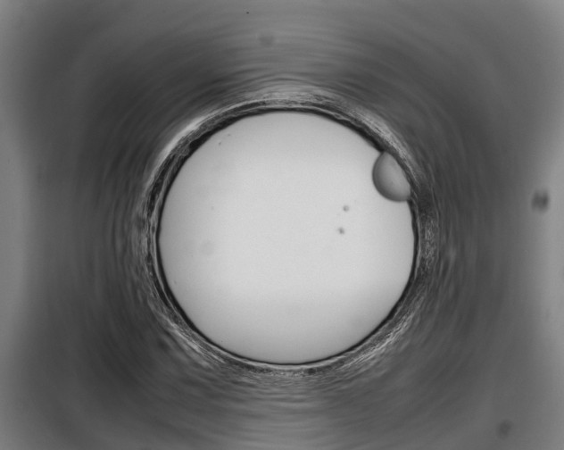 X0000098071067200804040722