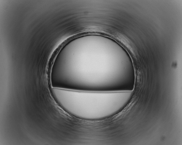 X0000098071068200804040722