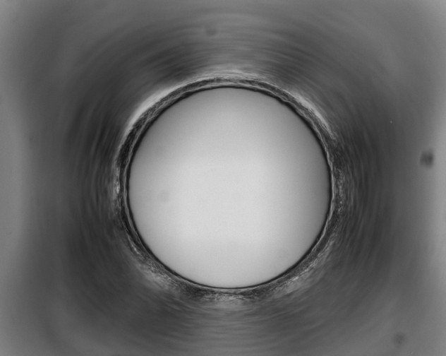 X0000098071070200804040722