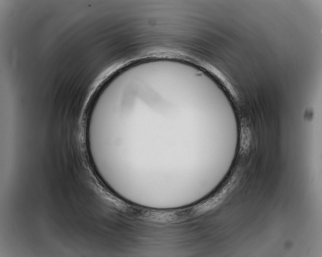 X0000098071074200804040722
